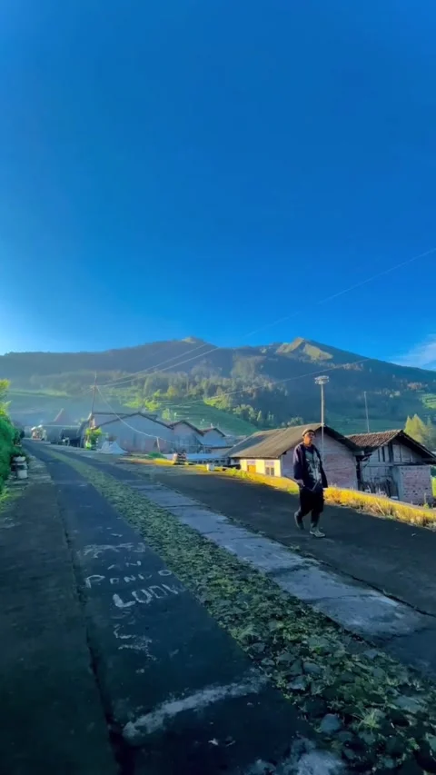 Natural countryside in the mountains Stock Footage 202628547