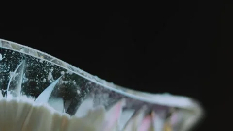 Natural culinary sequence of sifting flour into a clear mixing bowl Stock Footage 342154209