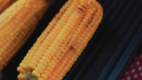 Natural culinary study: arranging grilled corn on a plate Stock Footage 342171234