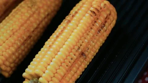 Natural culinary study: arranging grilled corn on a plate Stock Photos