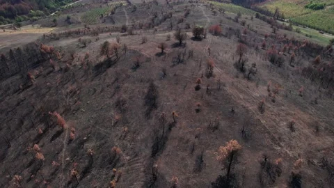 Natural damage caused by climate change and global warming. Stock Footage 164880530