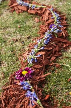 Natural decoration Stock Photos