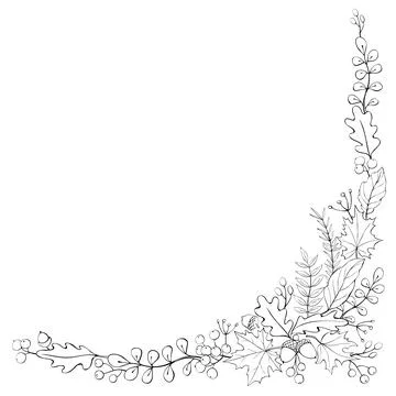 Natural design vector collection - corner element of contored acorns, leaves  스톡 일러스트