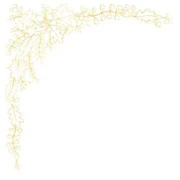 Natural design vector collection - corner element of contored acorns, leaves  스톡 일러스트