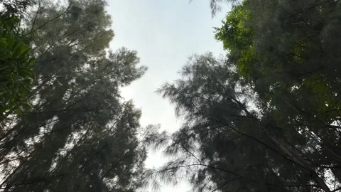 Natural, Destination Stock Footage 273571883