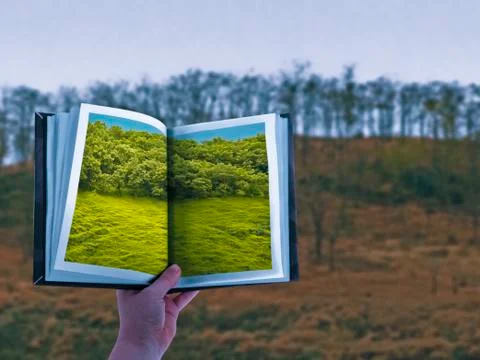 Natural disaster, concept 스톡 일러스트
