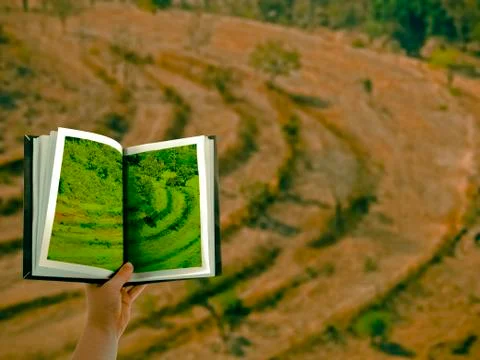 Natural disaster, concept 스톡 일러스트