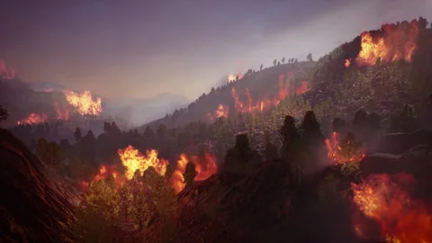 Natural disaster of mountain forest fire spreading rapidly through the hills 库存影片 339634617