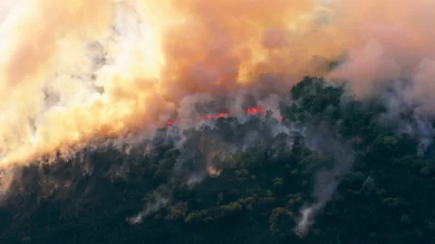 Natural disaster, wildfire Stock Footage 233766391