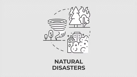 Natural disasters line concept icon animation Stock Footage 340283133