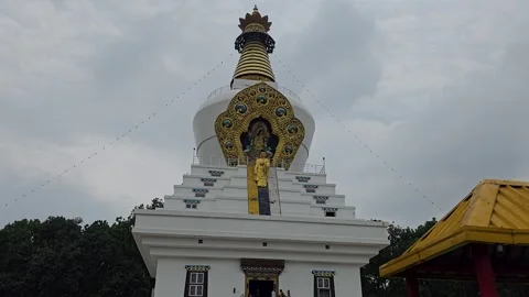 Natural Divinity: Viewing the Buddha in India Outdoors Stock Footage 317071946