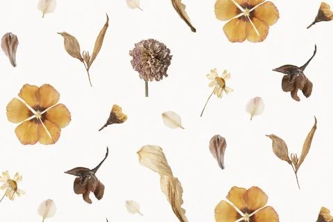 Natural dried flower wallpaper pattern Stock Photos