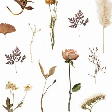 Natural dried flower wallpaper pattern Stock Photos