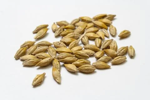 Natural dry barley malt on white background. Stock Photos