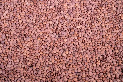Natural dry lentil pattern for packaging. Close up of raw dry brown legume .. Stock Photos