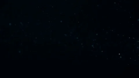 Natural Dust Particles Float On Black Background. Dust In Motion. Stock Footage 90048180