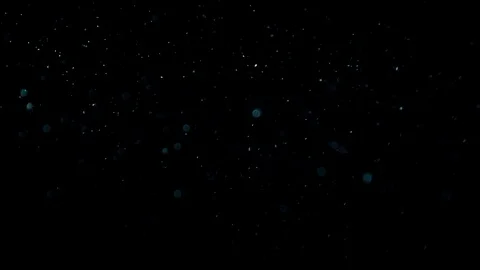 Natural Dust Particles Float On Black Background. Dust In Motion. Stock Footage 90061294