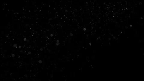 Natural Dust Particles Float On Black Background. Dust In Motion. Stock Footage 90061412