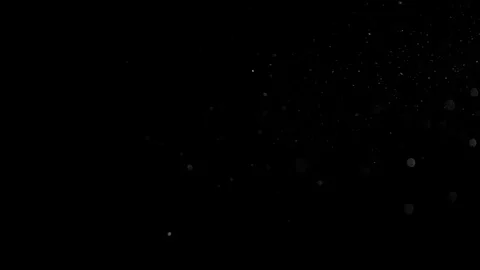 Natural Dust Particles Float On Black Background. Dust In Motion. Stock Footage 90099396