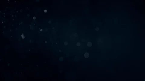 Natural Dust Particles Float On Black Background. Dust In Motion. Stock Footage 90184240