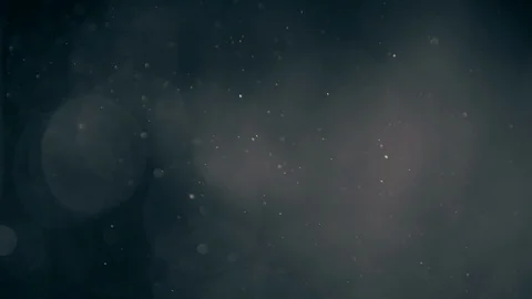 Natural Dust Particles Float On Black Background. Dust In Motion. Stock-Footage 90230572