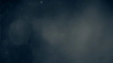 Natural Dust Particles Float On Black Background. Dust In Motion. Stock-Footage 90287573