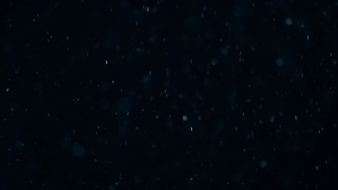 Natural Dust Particles Float On Black Background. Dust In Motion. Stock-Footage 103037734
