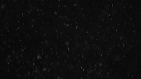 Natural Dust Particles Float On Black Background. Dust In Motion. Stock Footage 103038274