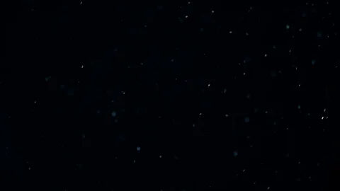 Natural Dust Particles Float On Black Background. Dust In Motion. Stock-Footage 103038534