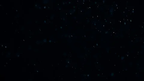 Natural Dust Particles Float On Black Background. Dust In Motion. Stock-Footage 103038697