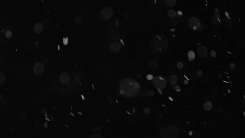 Natural Dust Particles Float On Black Background. Dust In Motion. Stock Footage 103039100