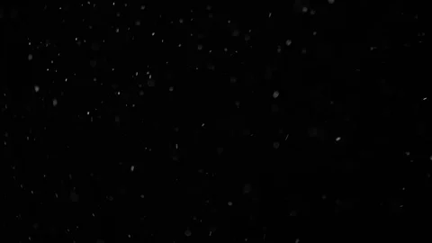 Natural Dust Particles Float On Black Background. Dust In Motion. Stock Footage 103039244