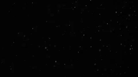Natural Dust Particles Float On Black Background. Dust In Motion. Stock Footage 103039265
