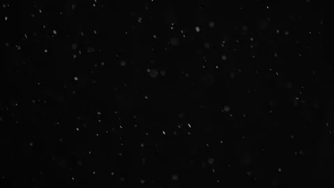 Natural Dust Particles Float On Black Background. Dust In Motion. Stock Footage 103039348