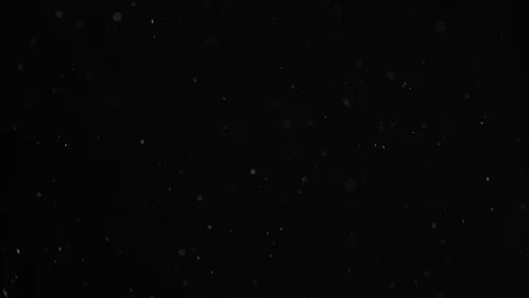 Natural Dust Particles Float On Black Background. Dust In Motion. Stock Footage 103039377