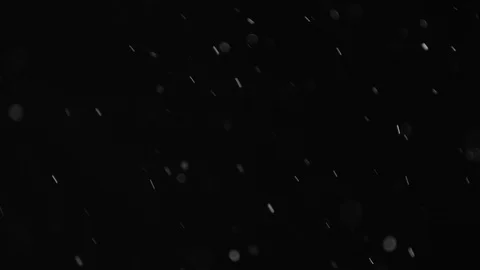 Natural Dust Particles Float On Black Background. Dust In Motion. Stock Footage 103041432