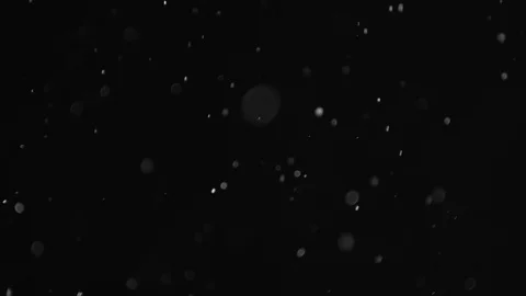 Natural Dust Particles Float On Black Background. Dust In Motion. Stock Footage 103041510