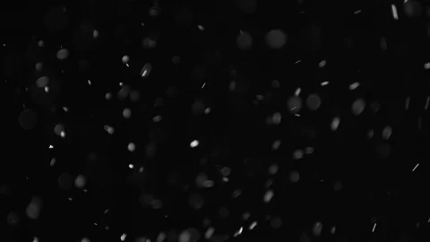 Natural Dust Particles Float On Black Background. Dust In Motion. Stock Footage 103041660