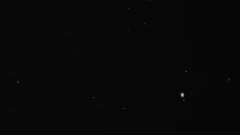 Natural Dust Particles Float On Black Background. Dust In Motion. Stock Footage 103041839