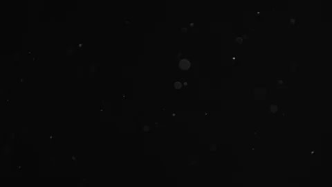 Natural Dust Particles Float On Black Background. Dust In Motion. Stock Footage 103041974