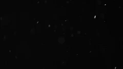 Natural Dust Particles Float On Black Background. Dust In Motion. Stock Footage 103053559