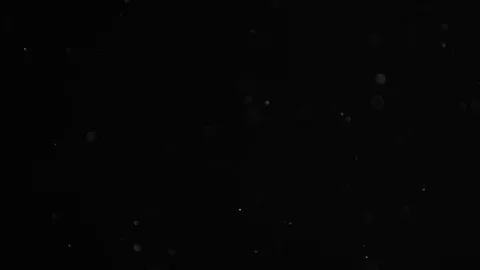 Natural Dust Particles Float On Black Background. Dust In Motion. Stock Footage 103053719