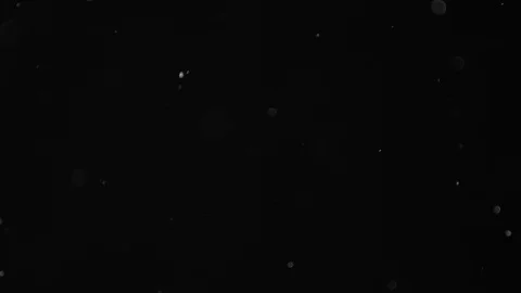 Natural Dust Particles Float On Black Background. Dust In Motion. Stock-Footage 103055443