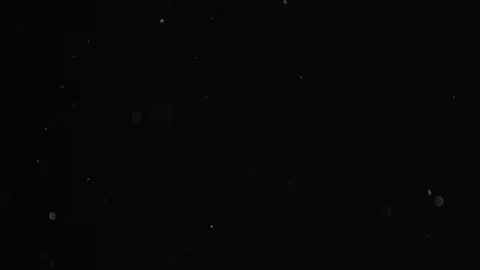Natural Dust Particles Float On Black Background. Dust In Motion. Stock Footage 103056326