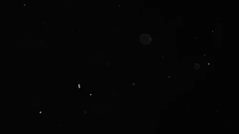Natural Dust Particles Float On Black Background. Dust In Motion. Stock Footage 103057292
