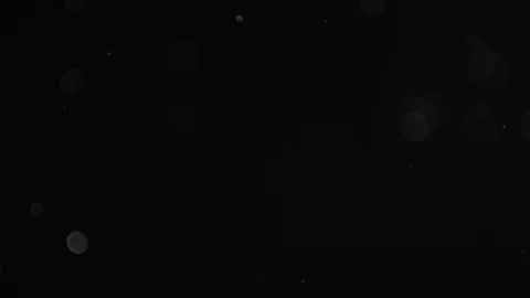 Natural Dust Particles Float On Black Background. Dust In Motion. Stock Footage 103057362