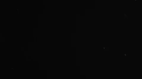 Natural Dust Particles Float On Black Background. Dust In Motion. Stock Footage 103282892