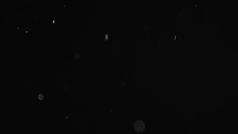 Natural Dust Particles Float On Black Background. Dust In Motion. Stock Footage 103284818