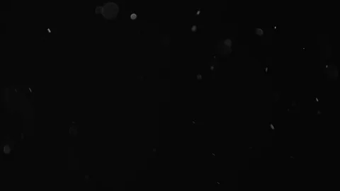 Natural Dust Particles Float On Black Background. Dust In Motion. Stock Footage 103284881