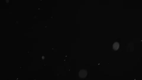 Natural Dust Particles Float On Black Background. Dust In Motion. Stock Footage 103285237